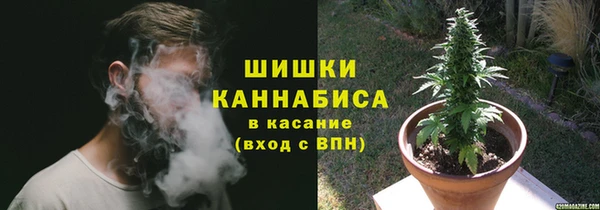 спайс Богданович