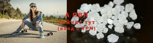 спайс Богданович