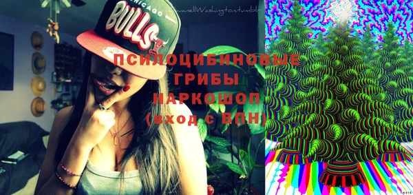 mdma Бородино